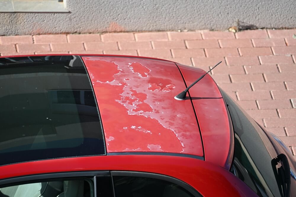 Picture of Peeling sun-faded paint on a red car
