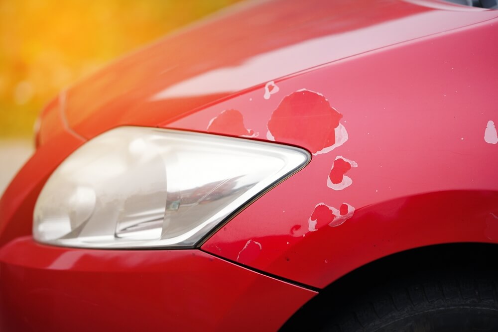 Sun damaged red car paintwork with clear coat peeling